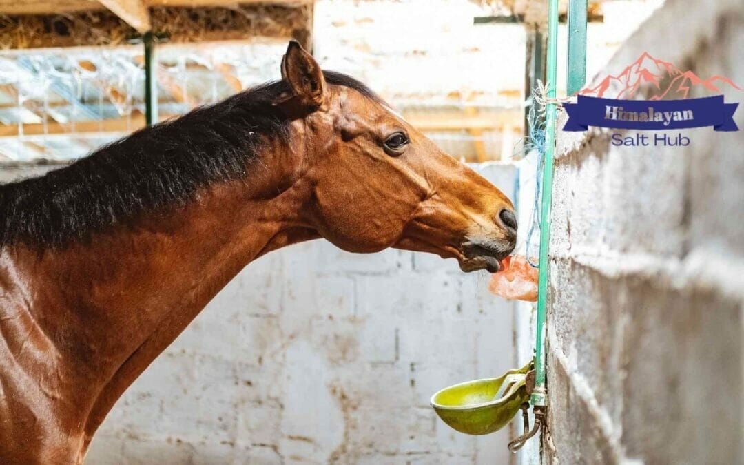 Himalayan Salt Animal Feed – 10 Lick Salt Block Benefits for your Cattle