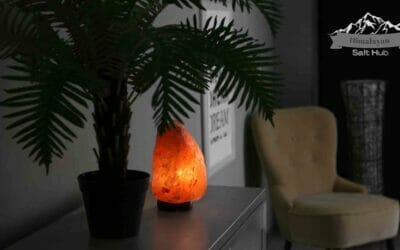 Himalayan Salt Decor – Himalayan Salt Lamps and other Home Decor items