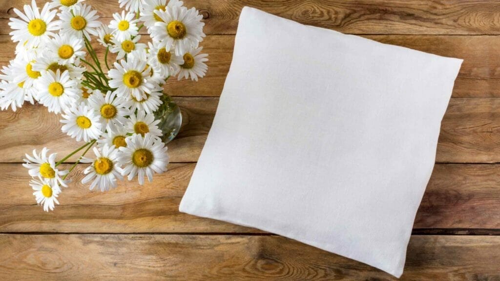 Himalayan Salt Pillow