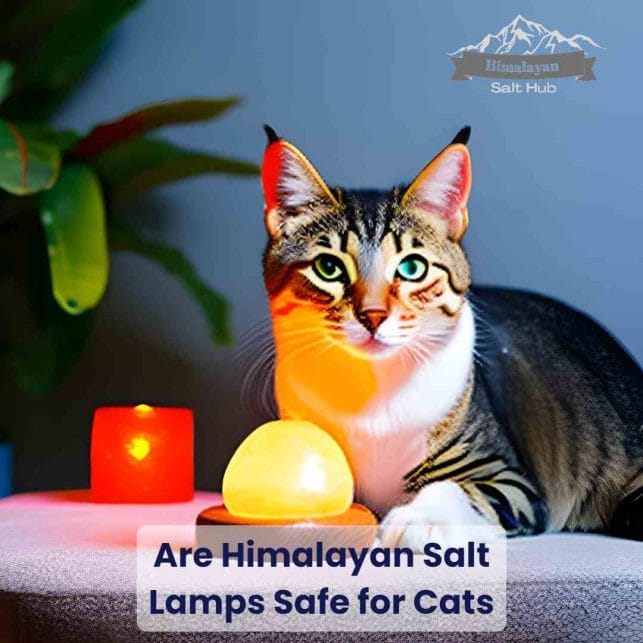 Are Himalayan Salt Lamps Safe