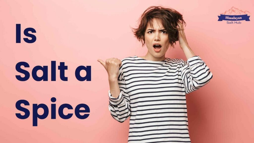 Is Salt a Spice? Know Whether Salt is a Spice, Condiment or Mineral 2 Is Salt a Spice