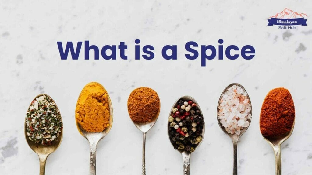 Is Salt a Spice