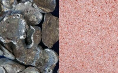 Does Himalayan Salt Have Lead? Level of Lead Content in Pink Salt