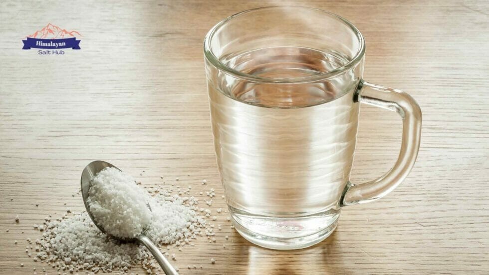 How to Make Sole Water? Healthy Sole Recipe (2023)