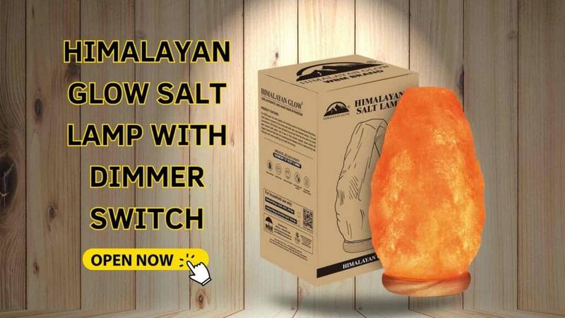 Best Himalayan Salt Lamp