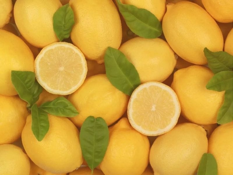 6 Pink Himalayan Salt and Lemon Water Benefits: A Natural Elixir for Health and Wellness 3 Pink Himalayan Salt and Lemon Water benefits